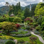 Ботанічний сад Києва