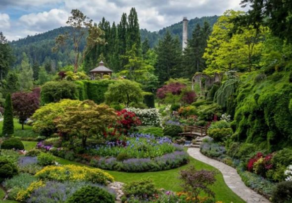 Ботанічний сад Києва