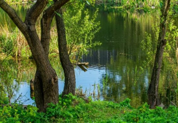 Озеро Вулик на Позняках у Києві